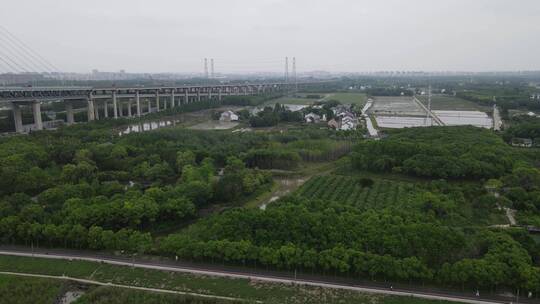 上海闵浦大桥江边游玩4K航拍