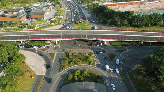 深圳路边杜鹃花，道路交通