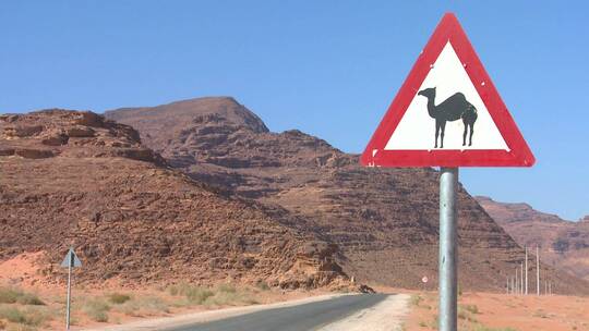 骆驼穿行沙漠的路标视频素材模板下载