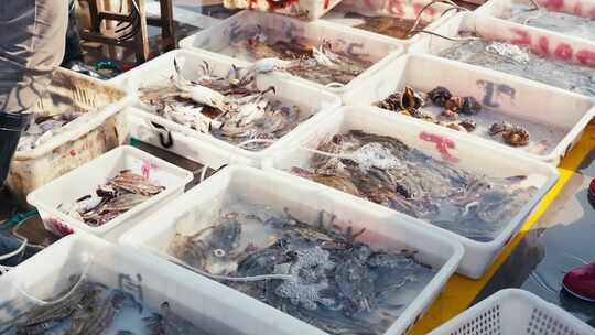 海鲜市场新鲜捕捞的海鲜视频素材模板下载