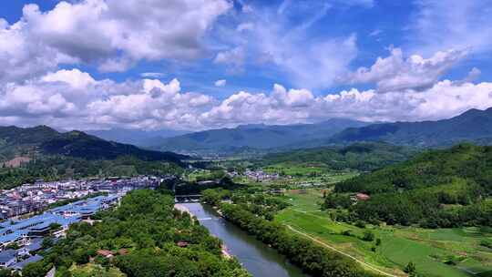 茶田 航拍 山区 农家 茶叶种植