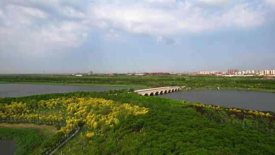 天津海河教育园区湿地公园