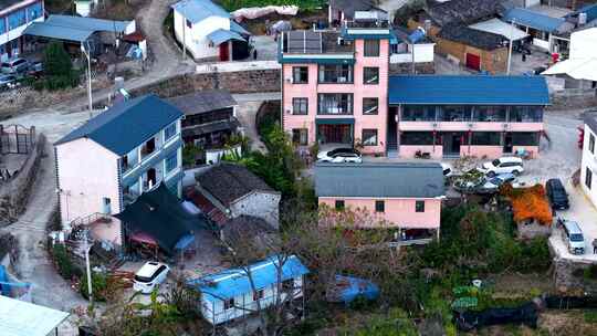 保山百花岭观鸟村