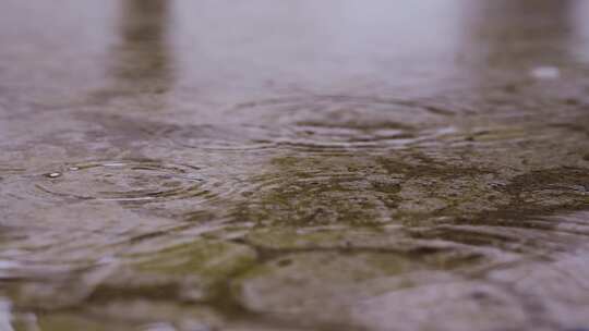 雨水 滴在浅水面上