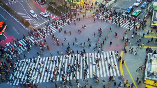 4K超清涩谷十字路口的人流