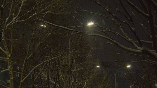 飘雪的夜景路灯