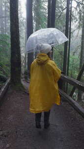 穿着雨衣的年轻女子在雨伞下享受森林雨