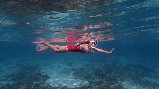 比基尼美女潜水海龟鱼群珊瑚礁大海海底美景