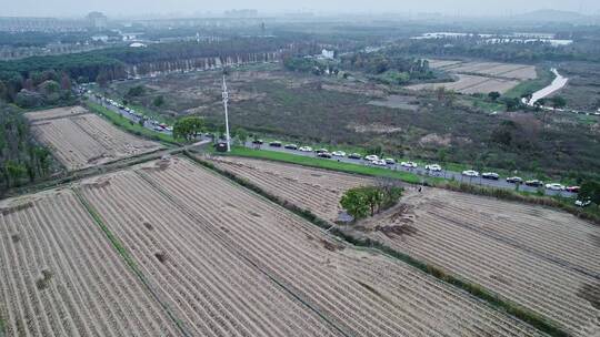 广富林郊野公园乡村林间小路