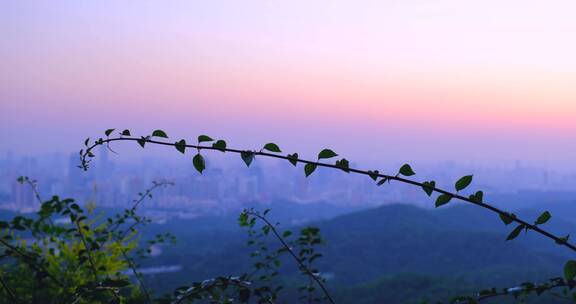 广州白云山黄昏夕阳下的城市风光
