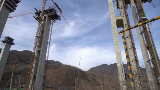 旅行 沿途 风景 公路 树