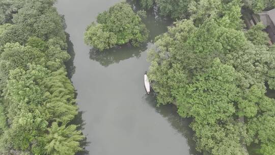 航拍杭州江南小船摇橹船在湖面树林间航行