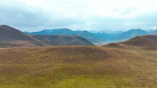 辽阔草原及远处群山的自然风景