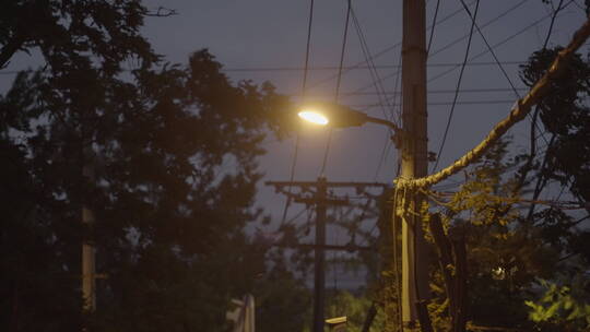 路灯 夜晚空镜 道路夜景