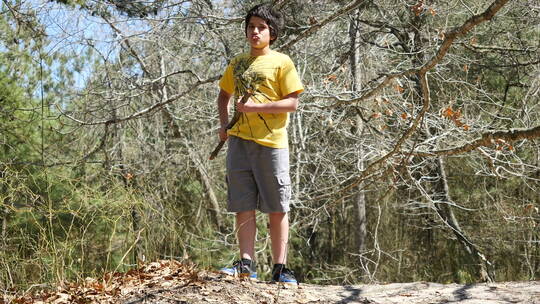 男孩拿着木棍在森林里打转视频素材模板下载