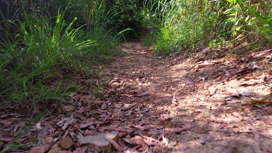 爬山上山道路