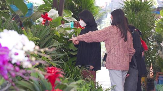 买花 年货 花卉市场