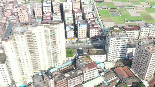 航拍深圳龙华区观澜城市空间