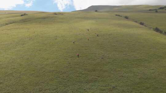 徒步旅行，背包客，野外，步行者