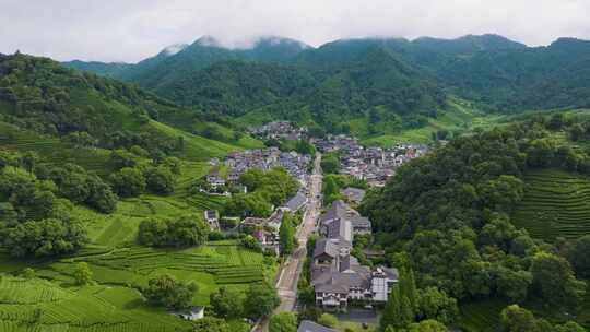 杭州西湖龙井茶园梅家坞清新茶山