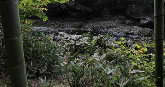 宁静山涧溪流 原生态景观 浙东小九寨