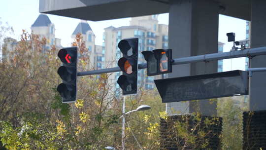 红路灯 倒计时 行车 交通指示 公路 交规