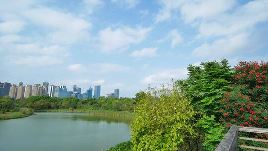 广西南宁城市五象湖湿地公园