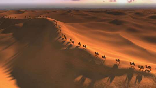 沙漠骆驼 丝绸之路视频素材模板下载