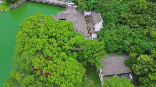 自然景观，悦耳鸟鸣声，潺潺流水声，治愈