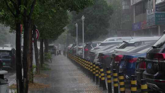 夏季暴雨大雨中的小街树木车辆