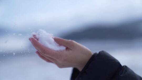 手捧雪花飘落