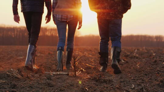 日落时分三人在耕地上行走