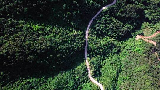 摩托车盘山公路行驶