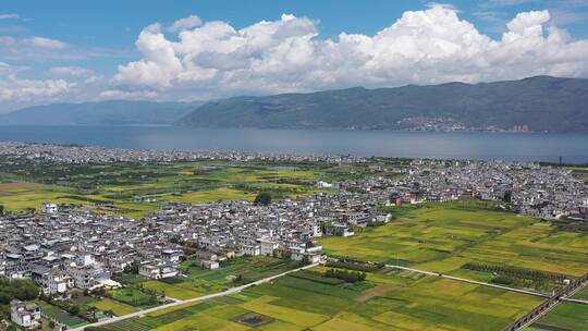 【精品】夏季秋季秋天秋收湖泊风光美景