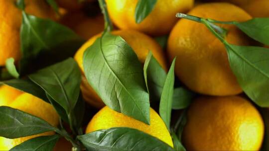 旋转的橙黄色柑橘