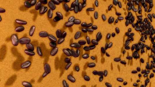 咖啡豆展示 咖啡豆都下落