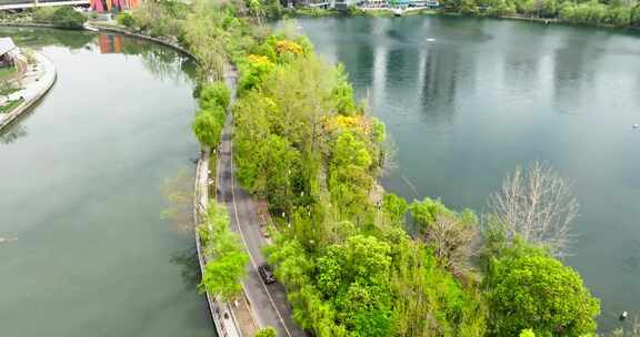 公园航拍春天成都东湖水边公路城市天际线