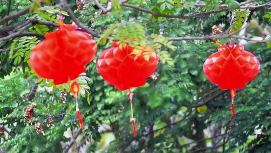 新年春节挂灯笼视频