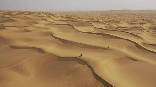 新疆塔克拉玛干沙漠一个人在行走