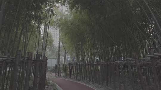 上海小区公园步道 健身 绿化 树林