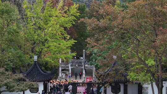 层林尽染苏州天平山赏枫（航拍视频素材）