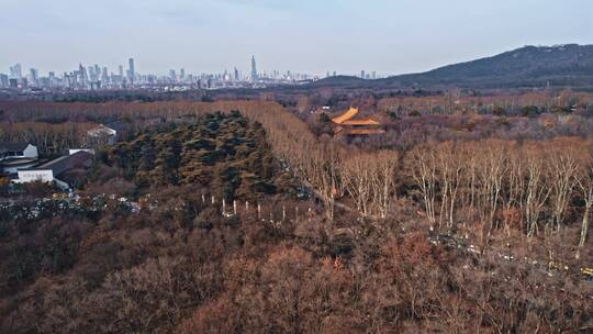 航拍冬天的南京明孝陵和城市远景