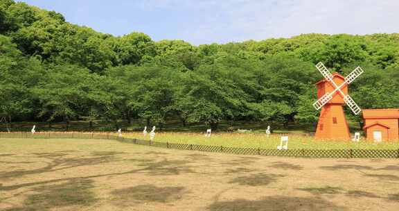 阳光风车森林草地野花盛开春光明媚