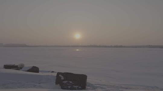 沈阳丁香湖雪景银装素裹的雪后树林景色