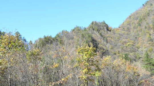 秦岭山水风景 秦岭 秋季 秦岭山脉