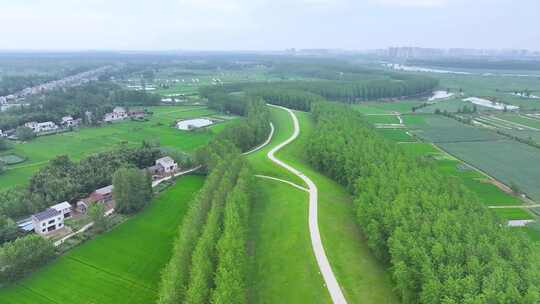 长江生态防汛大堤