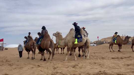 沙漠骑骆驼视频素材模板下载
