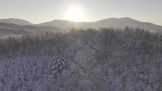 冰天雪地东北雾凇雪山