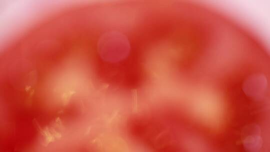 微距西红柿瓤西红柿籽 (7)