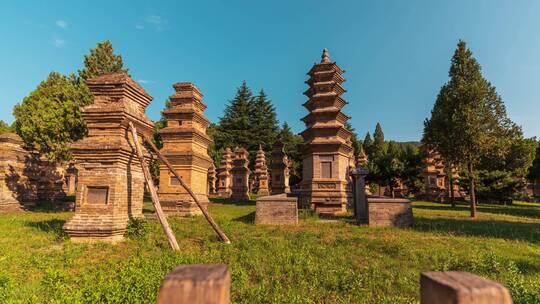 郑州登封少林寺塔林延时摄影